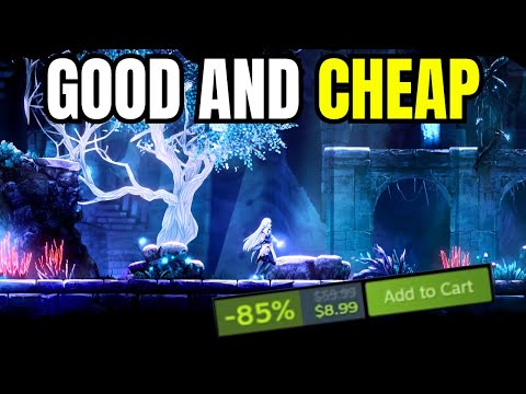 10 Metroidvanias That Are Good, Cheap, and Absolutely Worth Buying!