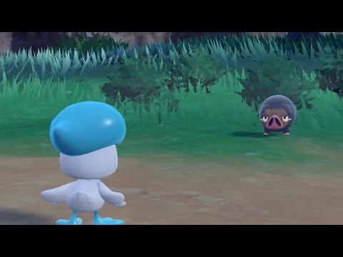 TODOS los Pokémon CONFIRMADOS de POKÉMON ESCARLATA Y PÚRPURA