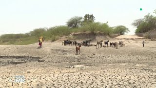 Sécheresse : la guerre du blé a commencé - Reportage #cdanslair 18.05.2022