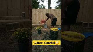 Don&#39;t Get Stung 😳🐝🤣 #shorts #bee #sting #funny #subscribe #trending #viral #fyp #like #share #fun