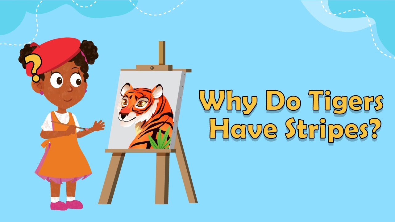 Why Do Tigers Have Stripes? | Facts About Tigers | Animal Facts for Kids | Science Facts For Kids