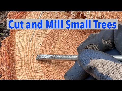 Reasons to Cut Down & Mill Small Trees - Douglas fir on Woodmizer LT15 Sawmill