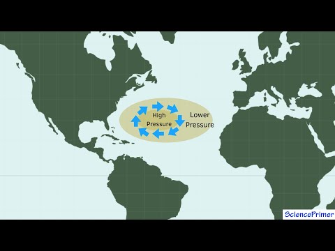 Ocean Gyres and Geostrophic Flow
