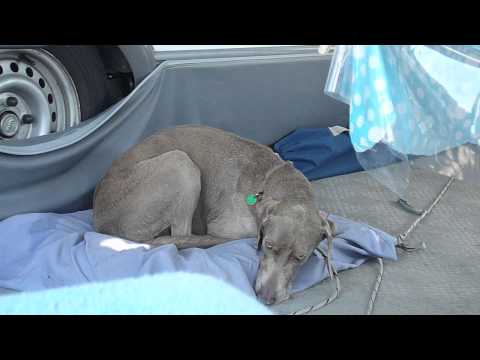 Belle Madu du  Bouquillon - after the Beach