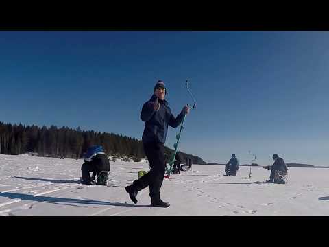 Pilkkikisat - 11.03.2017