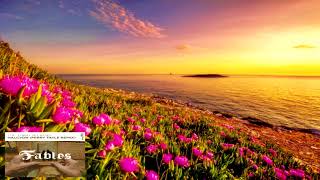 The Thrillseekers - Halcyon (Ferry Tayle Edit Remix)