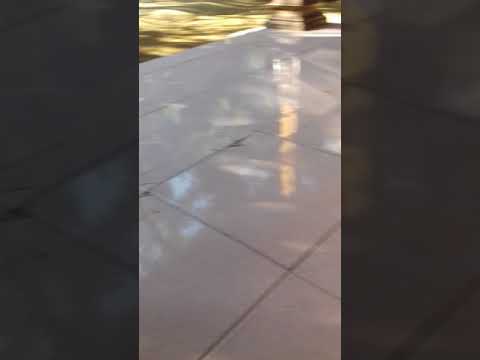 Kucing dedek zayna terlucu