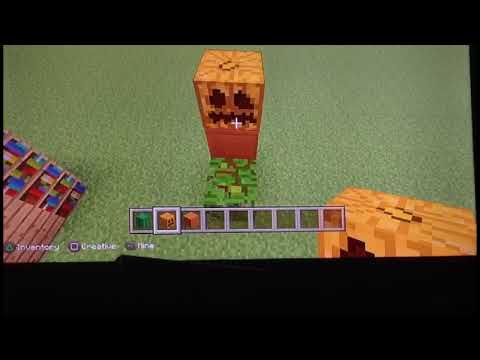 Thebodycollector 6 - 11 cool minecraft inventions