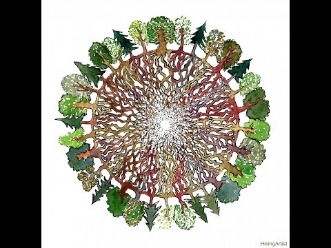 🌳 Wood Wide Web 🌲