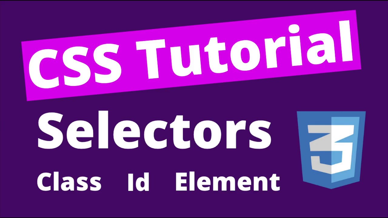 5 Important CSS Selectors  (CSS Tutorial for Beginners (2020) - #3)