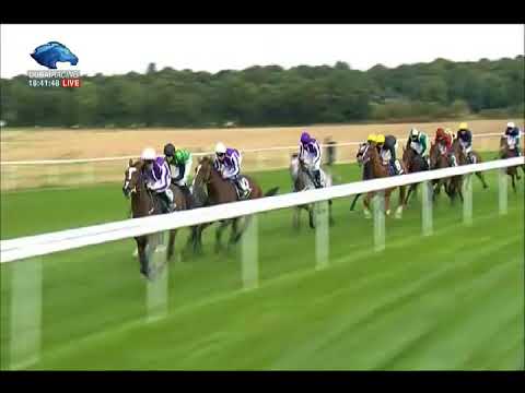 William Hill St Leger Stakes G1 - 16\09\2017 - Capri