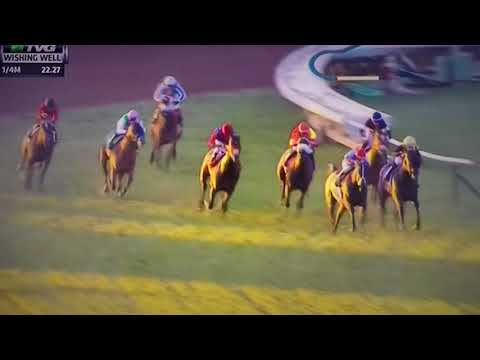 WISHING WELL (G STAKES) 2/24/18 - MONGOLLAN SHOPPER !!