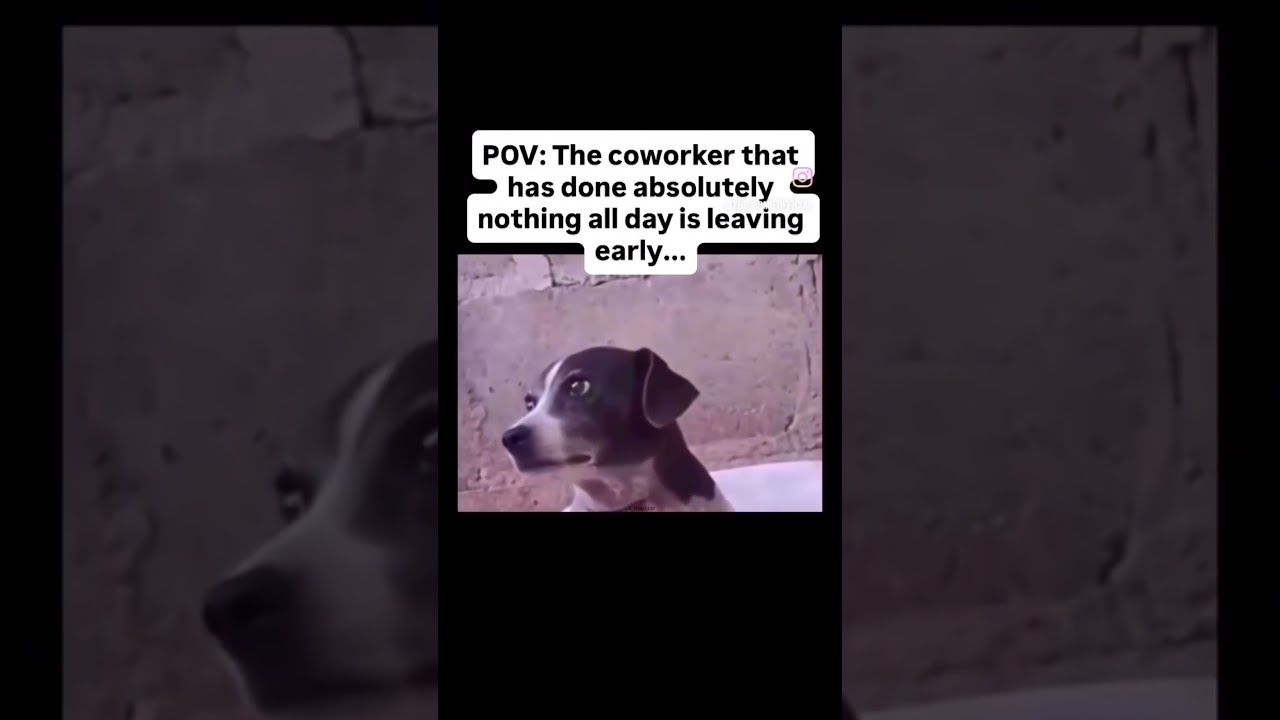 Where in the Hell Are You Going?! 🙄😂