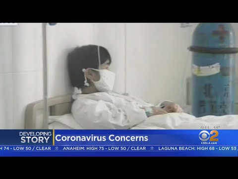 洛杉磯國際機場生病乘客因冠狀病毒問題被送入醫院 (Sick Passenger At LAX Sent To Hospital Over Coronavirus Concerns)
