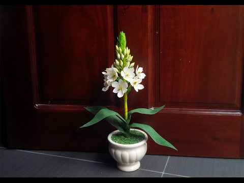 ABC TV | How To Make Star Of Bethlehem Paper Flower From Crepe Paper - Craft Tutorial