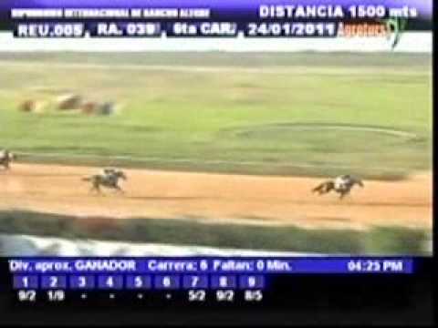 Lunes, 24 de Enero de 2011 - Rancho Alegre