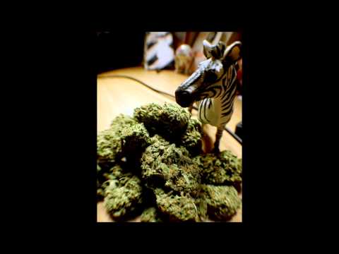 Kidd Niek Ft. Bernie Burns - Maryjane