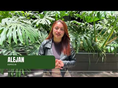 Análisis de Actores Aliados | Proyecto de Grado Gerencia Social – El Rosal, Cundinamarca