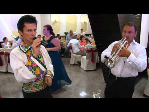 Formatia Mellody Dorohoi 15 August 2014