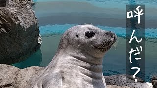 京都水族館