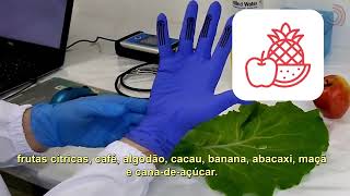 Miniatura do vídeo
