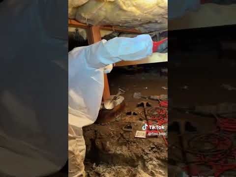 Flooding Crawlspace in Salem, OR