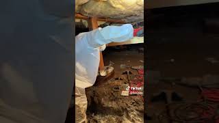 Watch video: Flooding Crawlspace in Salem, OR