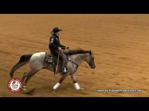 Blind Sided ridden by Jay McLaughlin  - 2017 NRCHA Celebration of Champions (FINALS - WGH Rein)