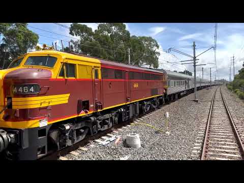 CLF4-4486-4464 on Vintage Rail Journey’s Southern Aurora Consist