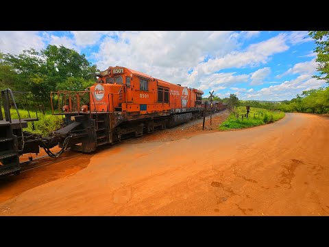 TREM EM VELOCIDADE MÁXIMA EM PAPAGAIO | FORMIGA MINAS GERAIS
