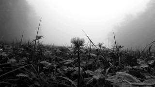 Download lagu Turdus Merula - Descensus mp3