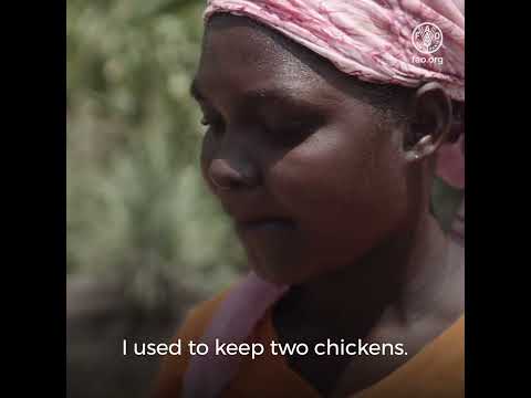 Agricultural livelihoods for refugee communities