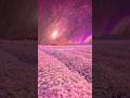 Anaganaga Oka Uru Lyrics Watsapp Status Aesthetic Edit Slowed Trending Shorts Telugusongs