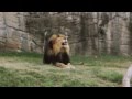 Cameron Park Zoo 