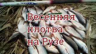 Ссылка