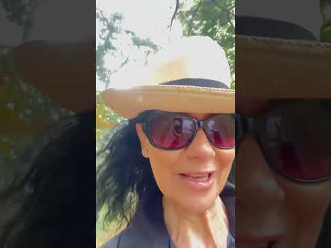 “Do Nutritionists REALLY Eat Chocolate? 🍫 You’ll Be Surprised…”