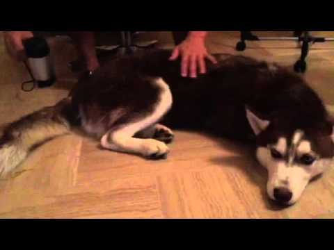 Eros qui sort de sa douche