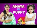 Anaya Ka Puppy | ShrutiArjunAnand
