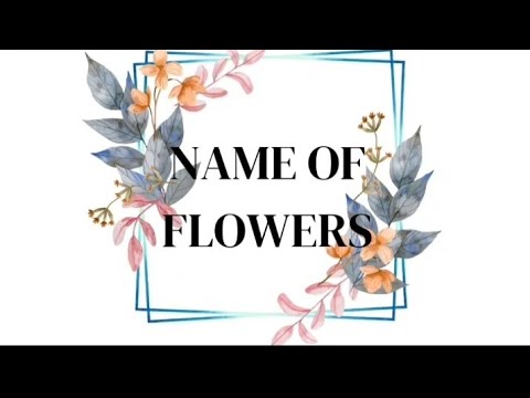 flowers name| name of flower in English|flowers name for kids
