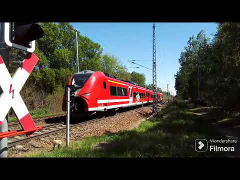 Bahnhof Lauta (Ni) (Teil27)-  der EBÜT Lauta Dorf mit Re11 n. Hoyerswerda in Sachsen am 01.05.24.