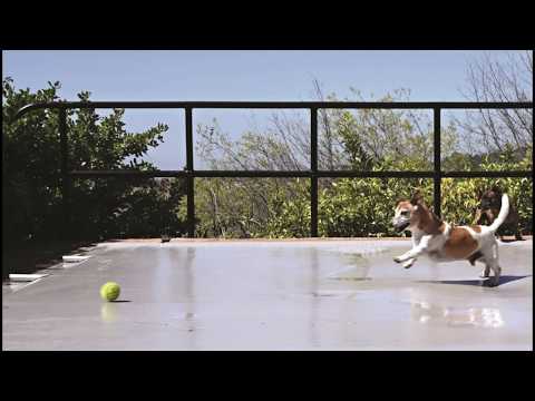 The PowerPlastics Solid Safety Cover