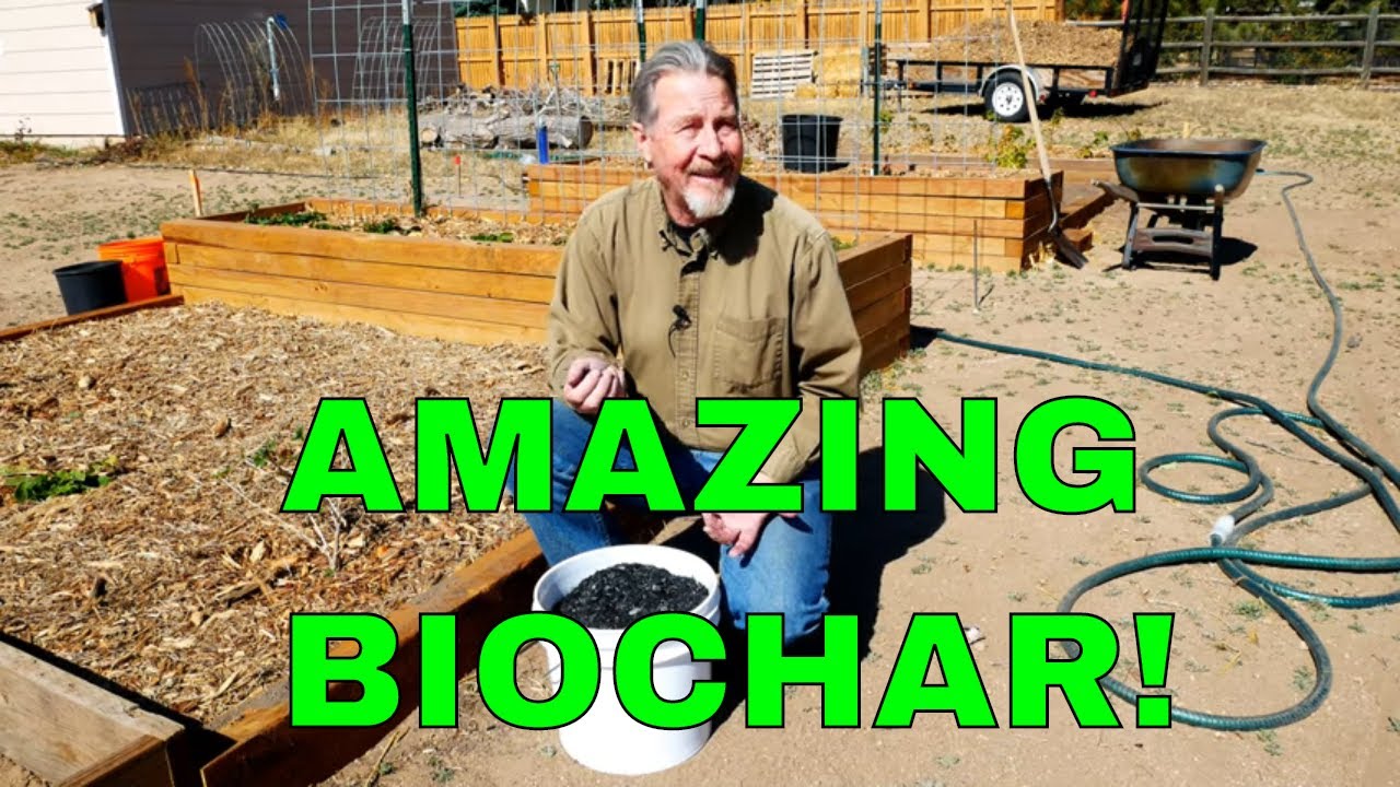 How to Use Biochar in Your Garden (Amazing Benefits)