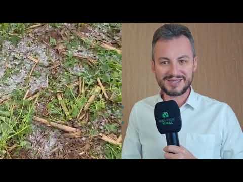 Iporá-GO pede socorro!!! Estado de calamidade. 