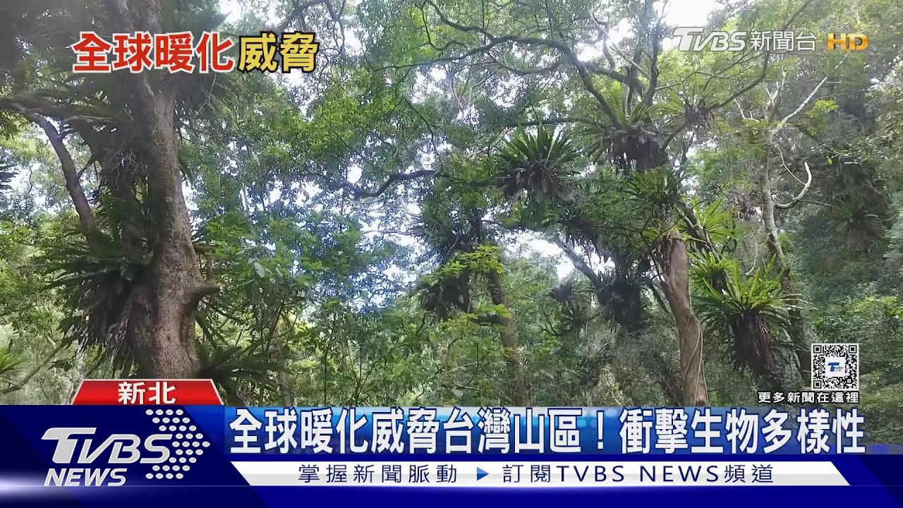 全球17山區暖化加劇!中研院首創「氣候速度」推估模式