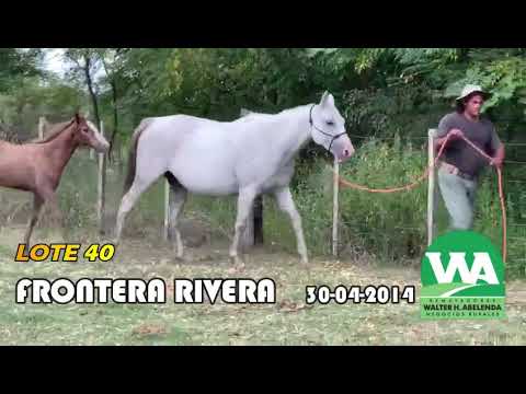 Lote FRONTERA RIVERA