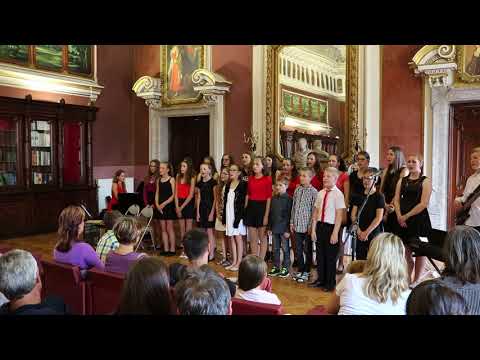 Vlaštovko leť - Jarek Nohavica