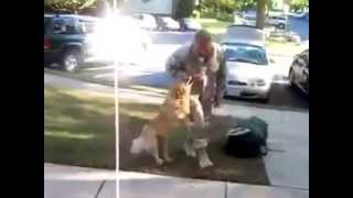 Dog finally see's his owner after 2 years away in Afghanistan