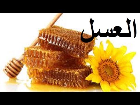 العسل و فوائده مع الدكتور محمد الفايد Miel