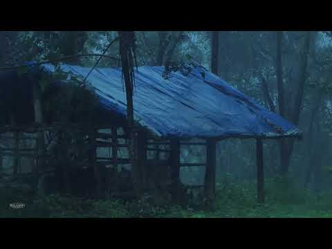 Rain on Shelter with Tarp & Distant Thunder | Help Study, Meditation, PTSD, Insomnia & Tinnitus