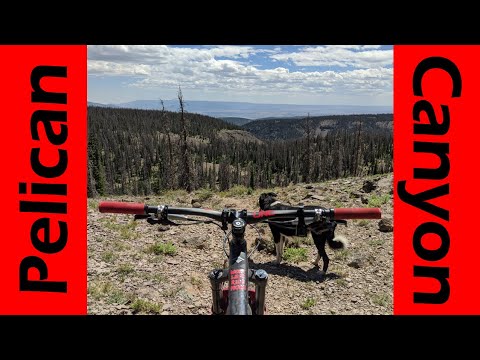 Pelican Canyon: Fish Lake's 3-Mile, 2000-ft Rock Garden!